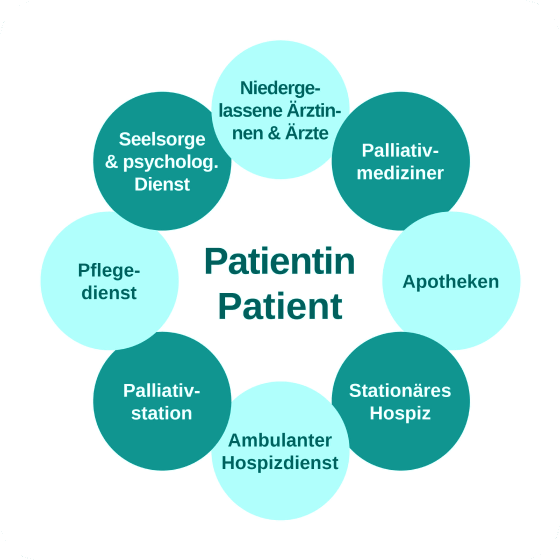 Aufbau des Netzwerkes der Hospiz- und Palliativarbeit im Ammerland und Umgebung (Organigramm)